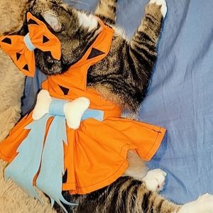 Dress for cat